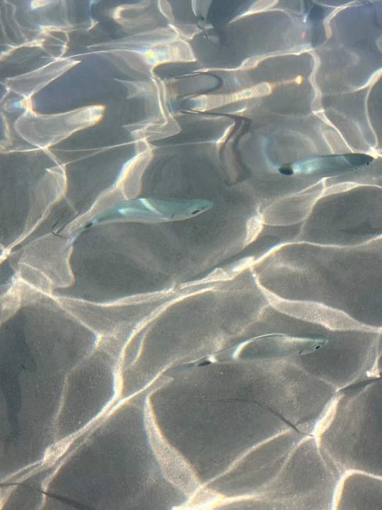 Strand Sandy Beach Resort