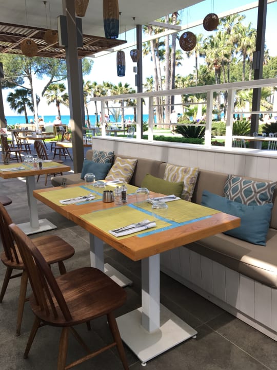 Gastro Acanthus Cennet Barut Collection