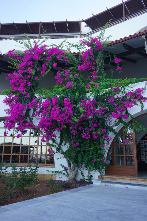 Eingangsbereich zum Haupthaus von der Poolseite Creta Maris Resort