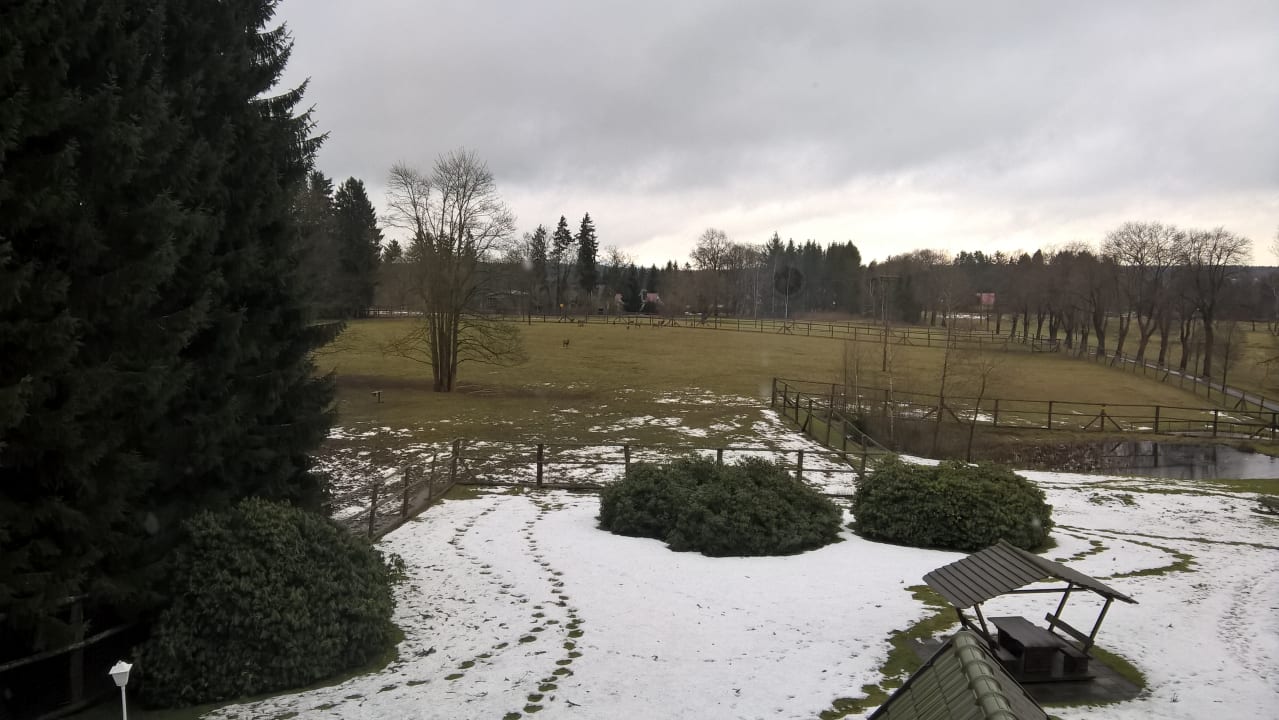 Ausblick aus dem Zimmer auf das Wildgehege Hotel Harzhaus