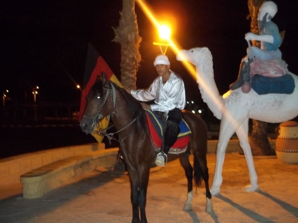 Begrüßung Pickalbatros Alf Leila Wa Leila Resort - Neverland Hurghada