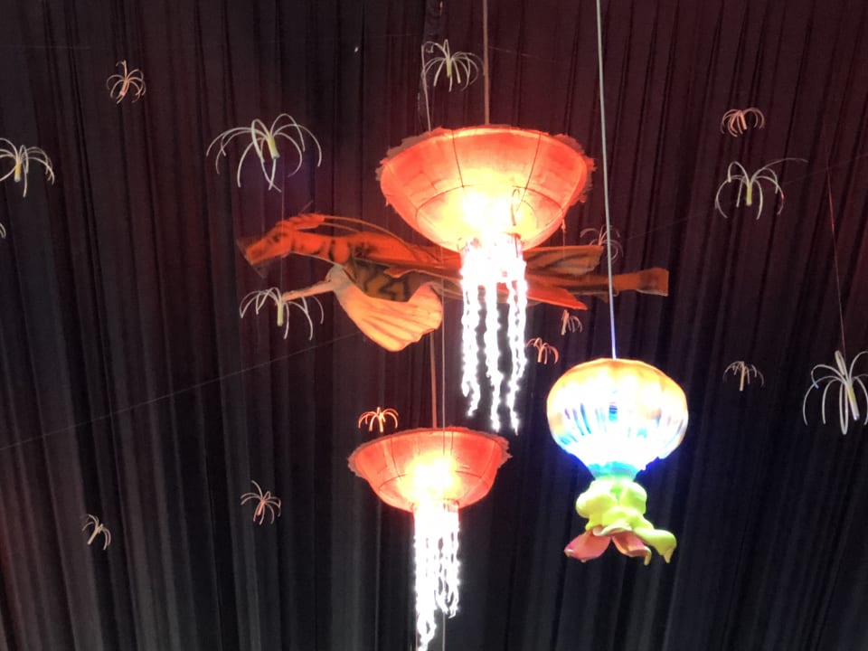 AVATAR Silvesterdeko 2018  Pickalbatros White Beach Resort - Hurghada