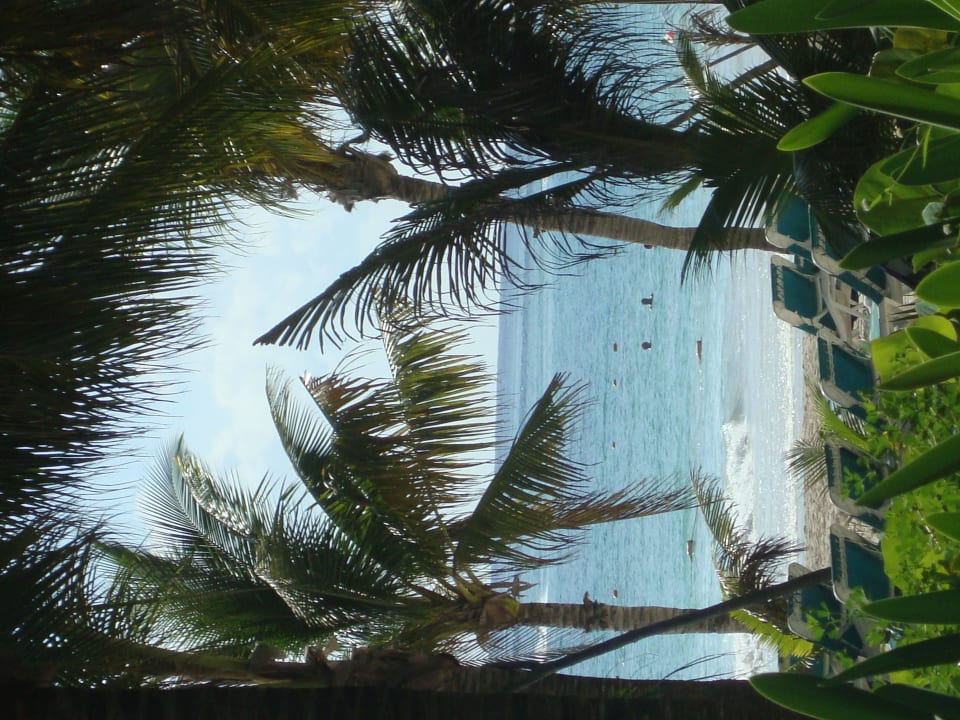 Hotel Catalonia Playa Maroma Catalonia Playa Maroma