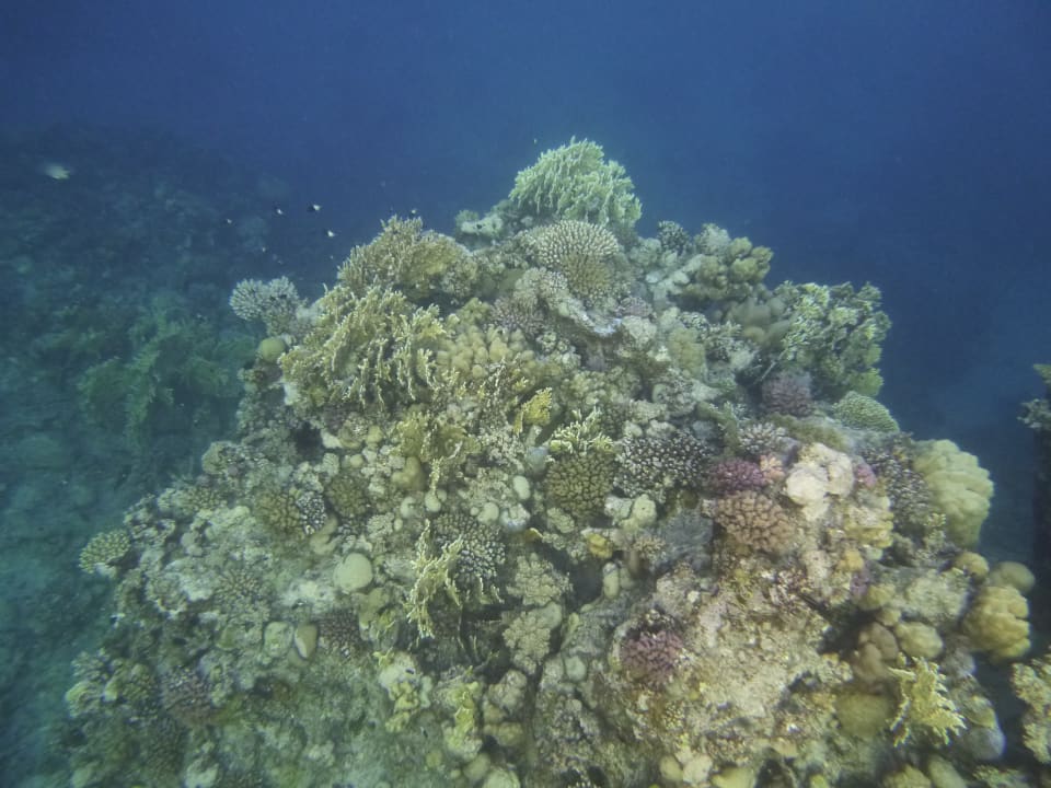 Sport & Freizeit Three Corners Sea Beach Resort