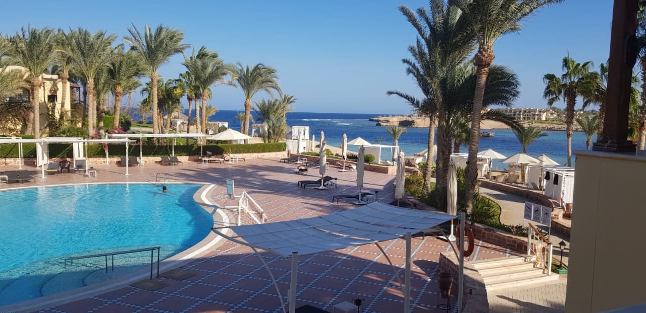 Pool Steigenberger Coraya Beach - Adults only