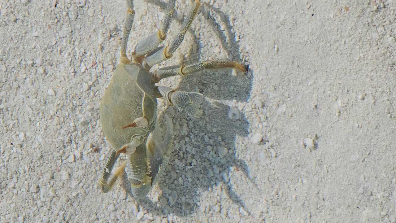 Strand Vilamendhoo Island Resort & Spa