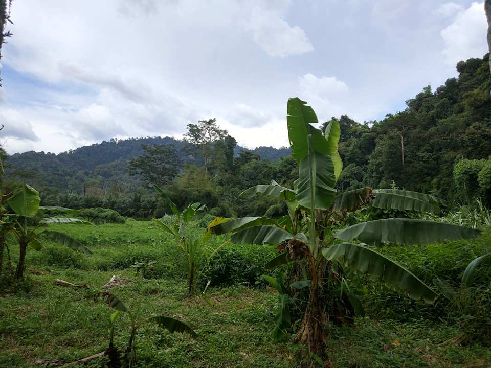 Gartenanlage Hotel Khao Sok River Cottages
