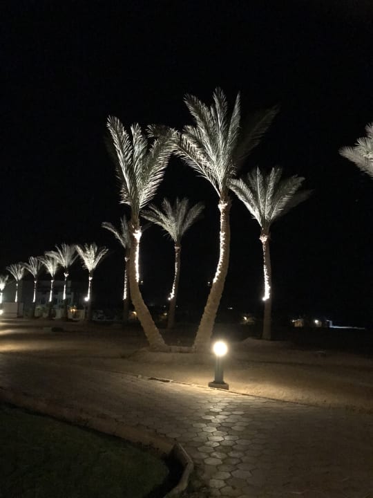 Strand Steigenberger Coraya Beach - Adults only