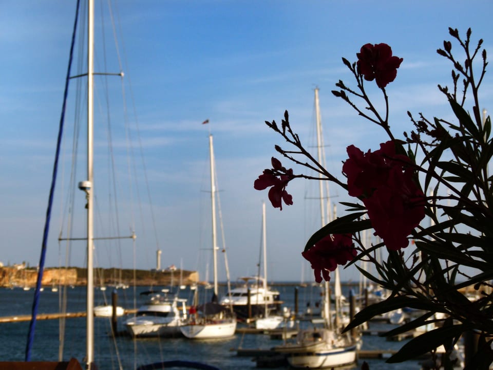 Blick vom Balkon NH Marina Portimão Resort