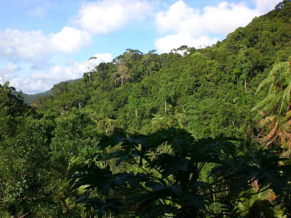 Blick von der Terrasse Martin's Lodge