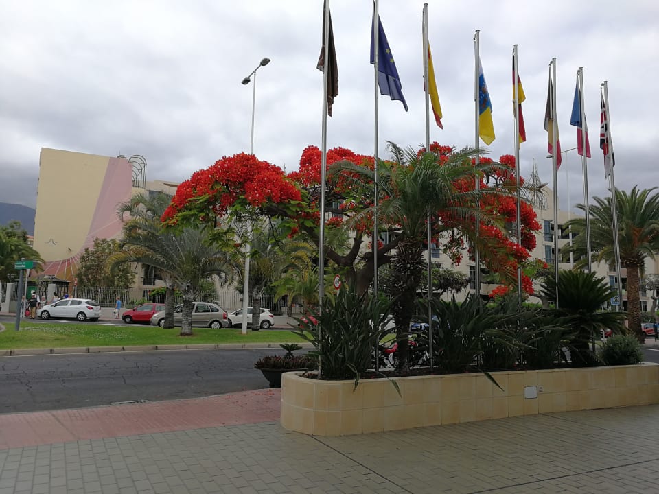 Außenansicht Adrián Hoteles Colón Guanahaní - Adults only