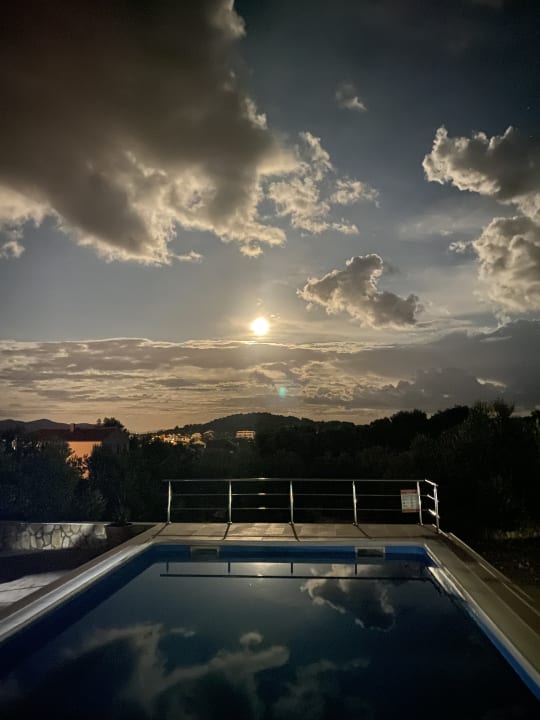 Pool Apartments Olive trees