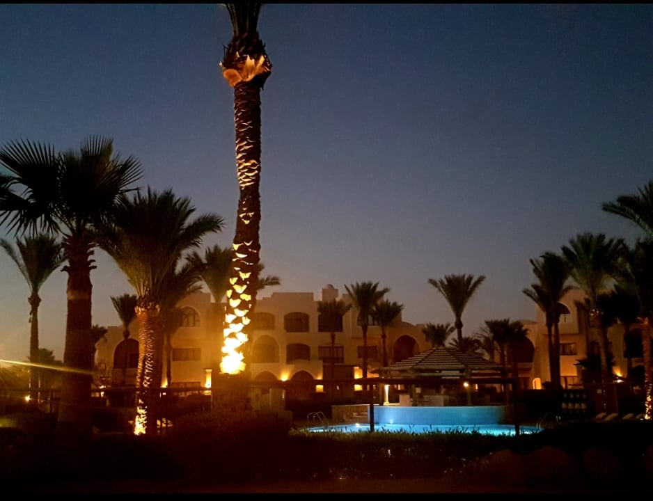 Pool JAZ Neo Saraya Palms