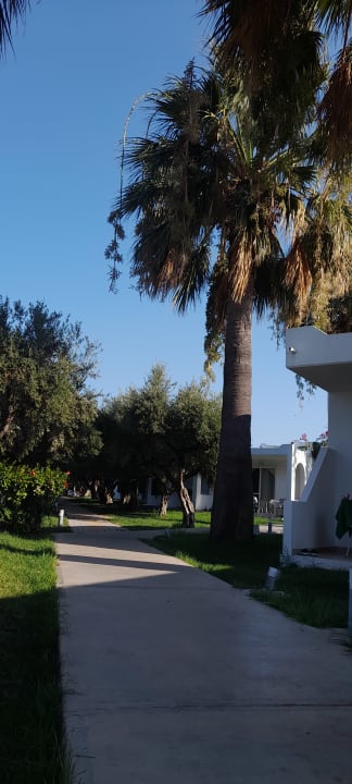 Gartenanlage TUI KIDS CLUB Alex Beach