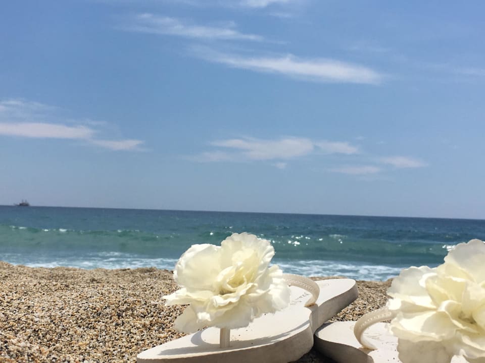 Kleopatra Strand, traumhaft Alaaddin Beach - Adults only