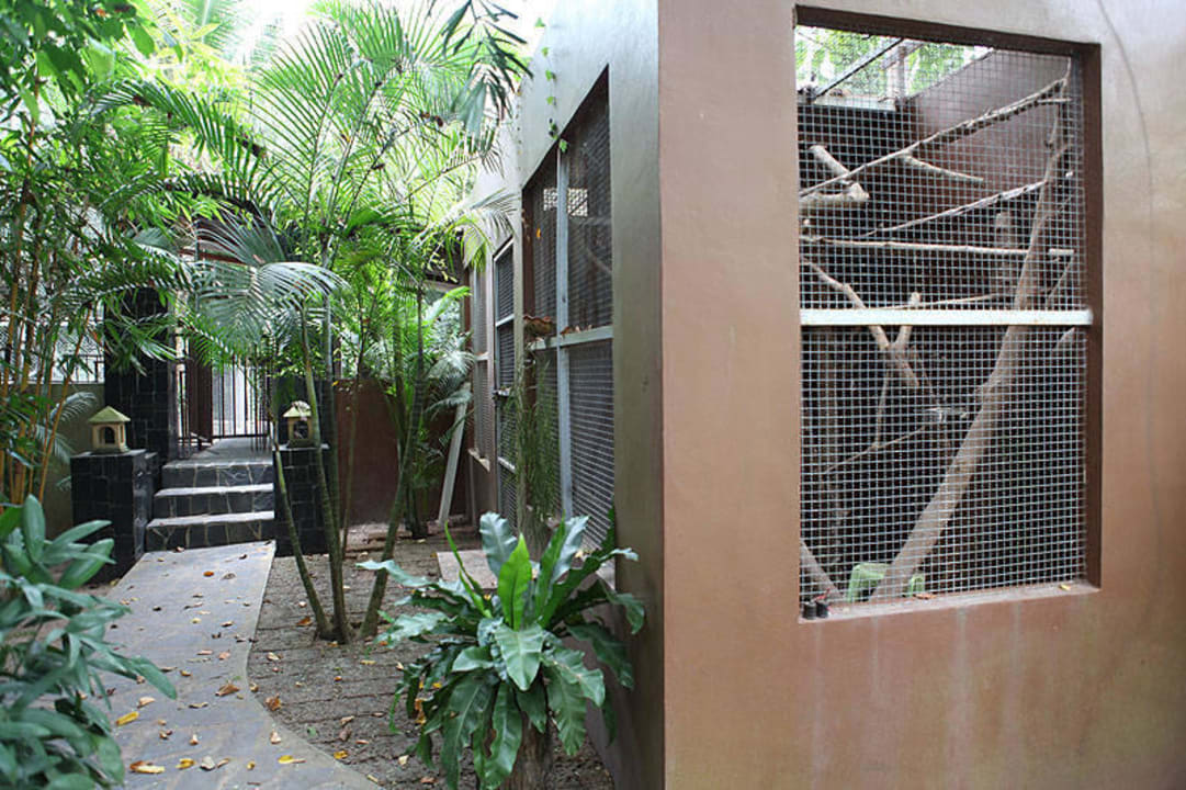 Wege fuehren durch das Resort Gelaende Adventure Resort Thailand