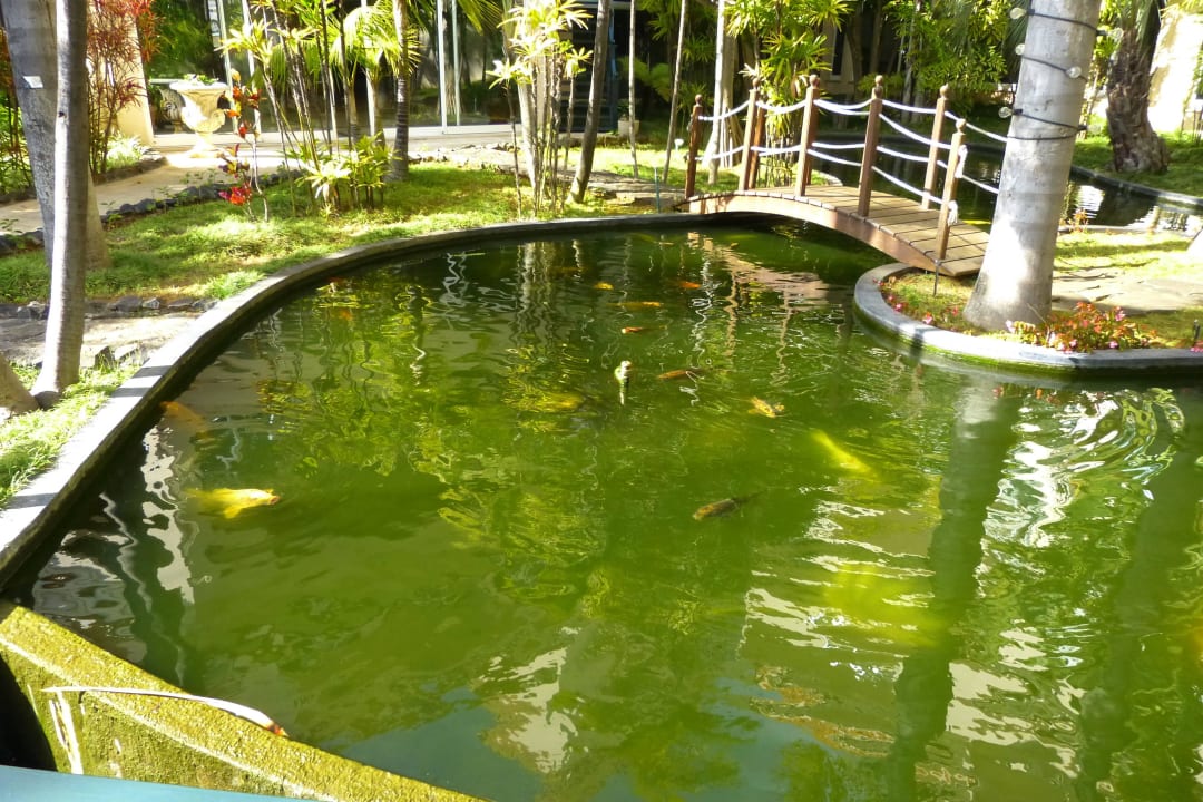 Ogórd Pestana Royal Premium All Inclusive Ocean & Spa Resort