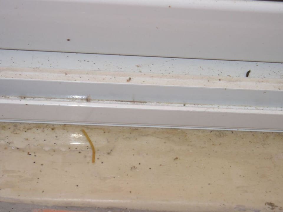 Im Restaurant hier ist Leben vorprogamiert Sandy Beach Resort