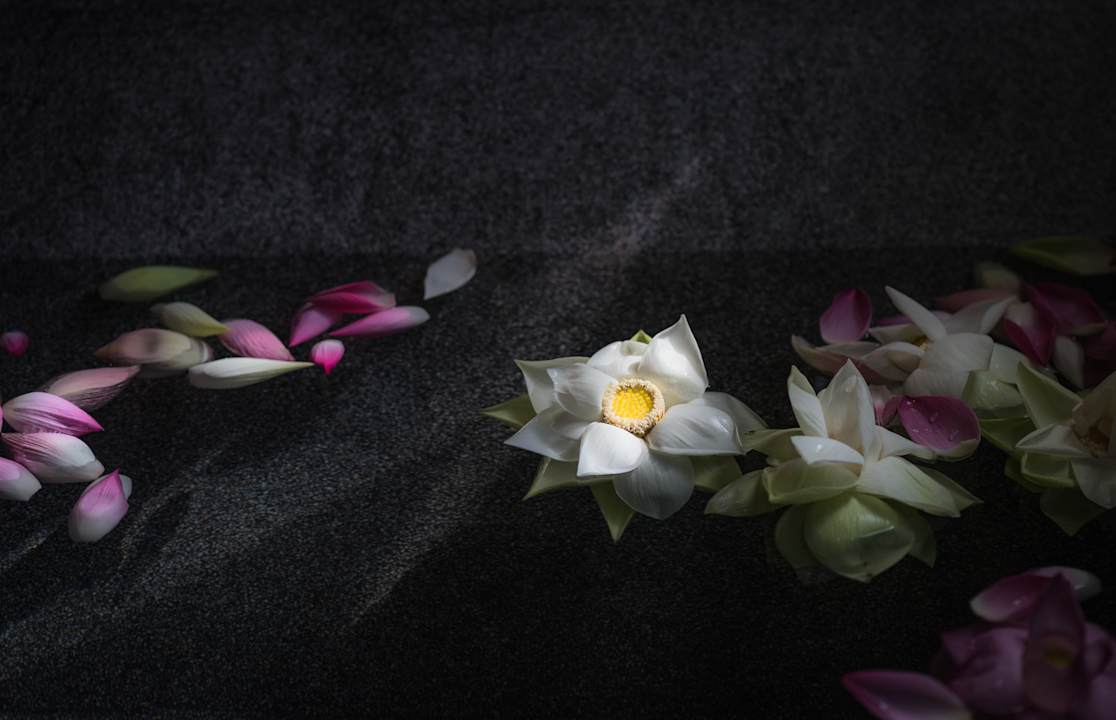 Zimmer Sokkhak Boutique Resort