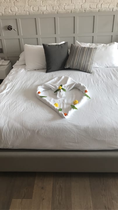 Zimmer Acanthus Cennet Barut Collection