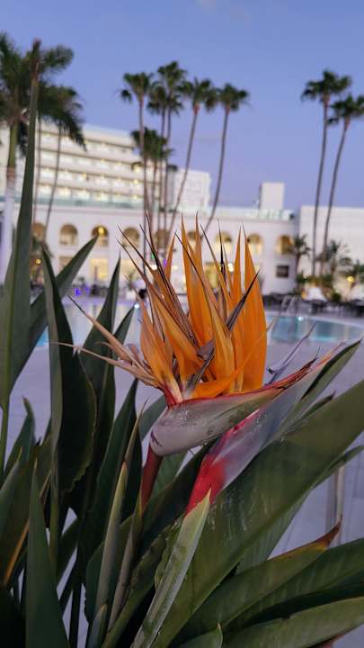 Außenansicht Guayarmina Princess