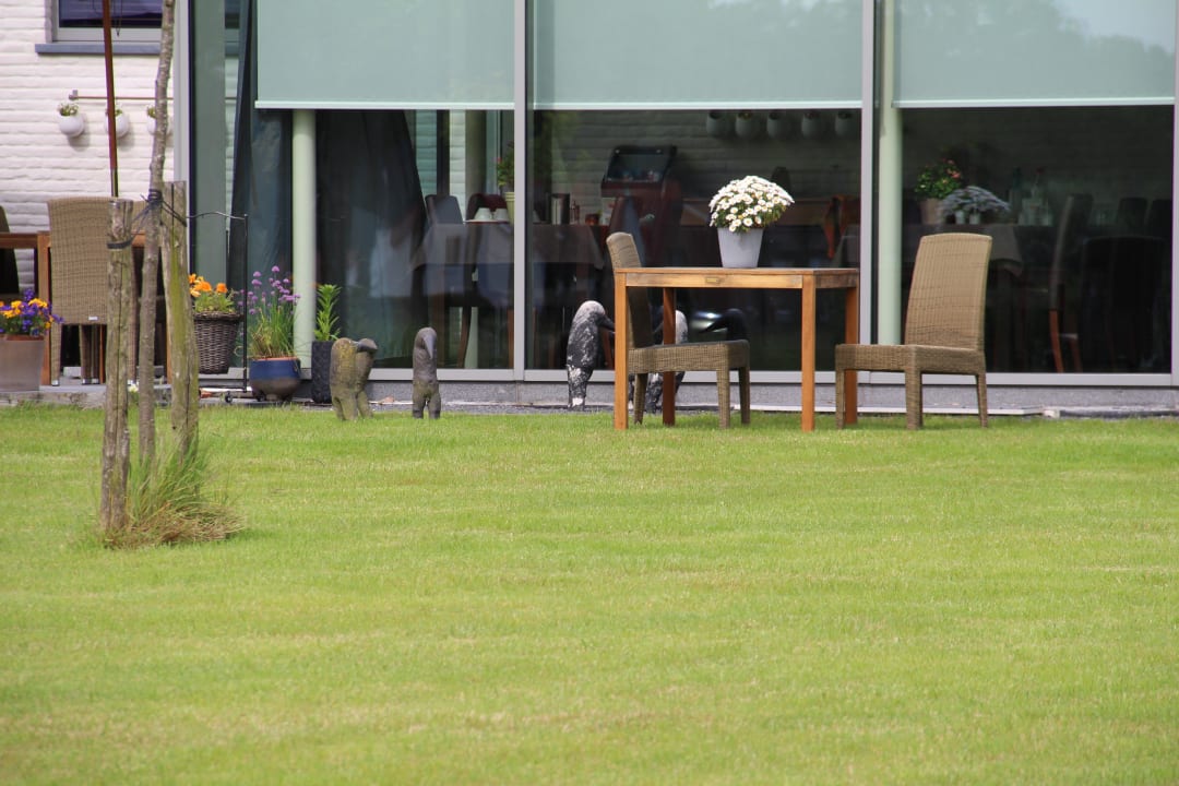 "Raben"-Kunst vor dem Frühstücksraum Cleythil Hotel