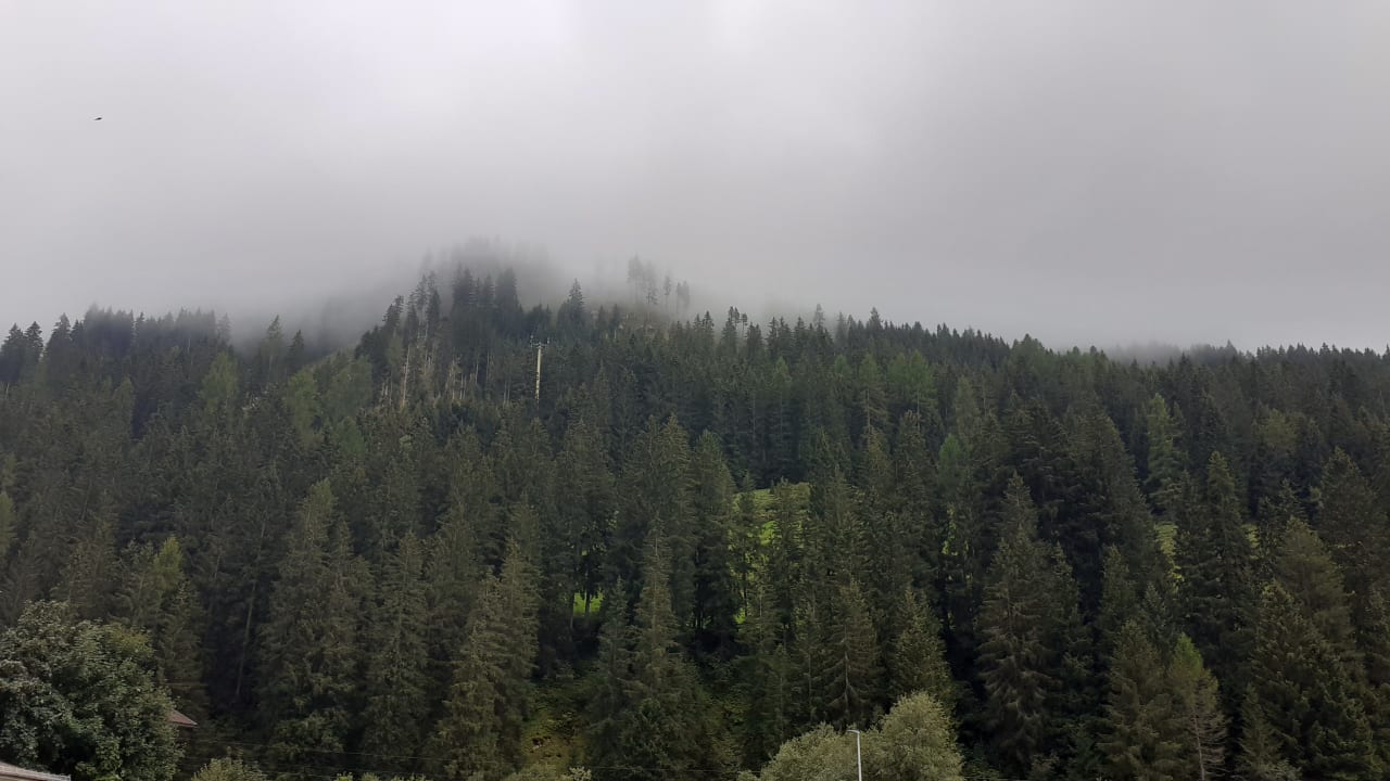 Ausblick Hotel Garni Jakober