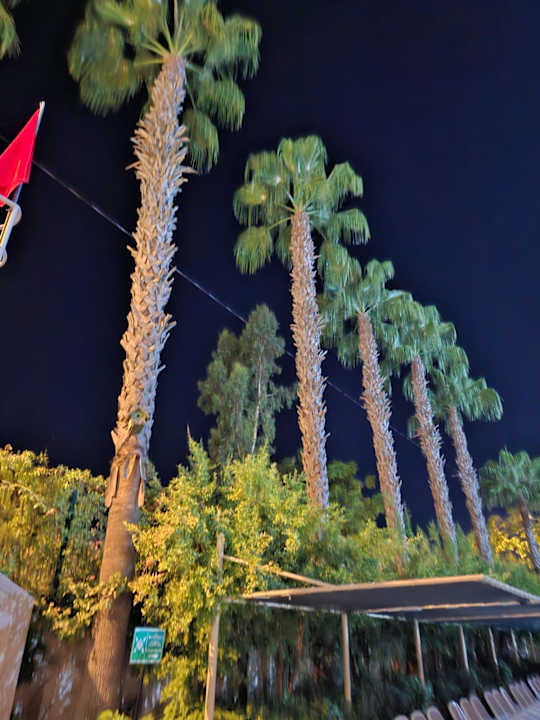 Außenansicht Can Garden Resort