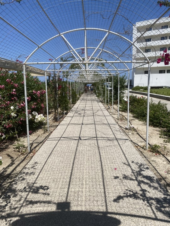 Gartenanlage TUI BLUE Lindos Bay