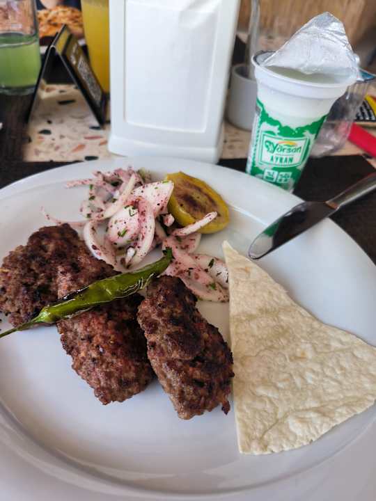 Gastro Seashell Vega