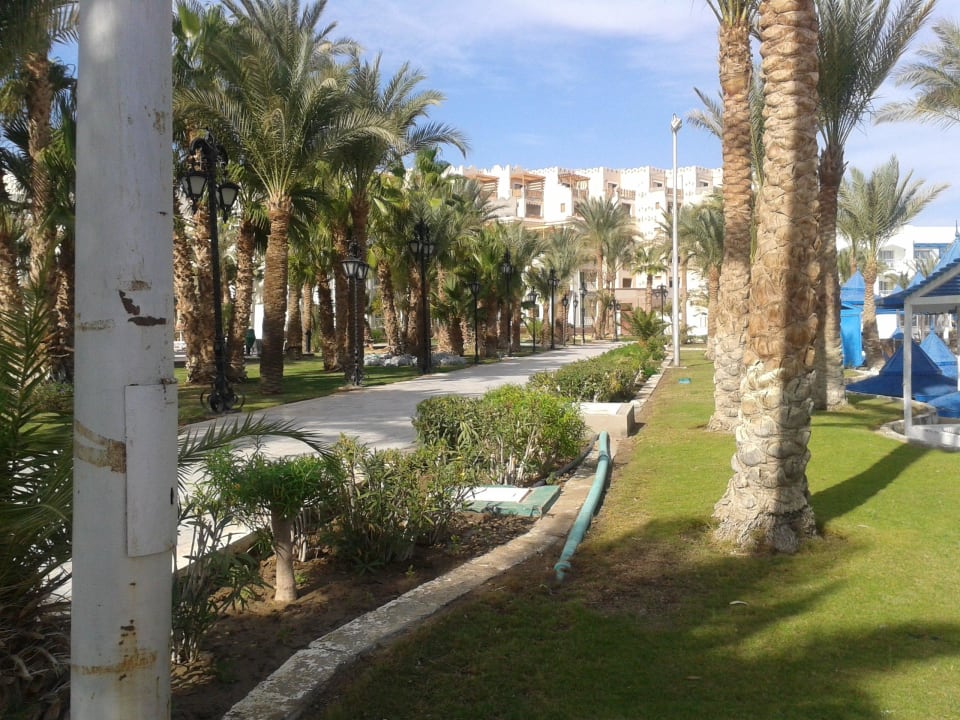 --- The Grand Hotel Hurghada