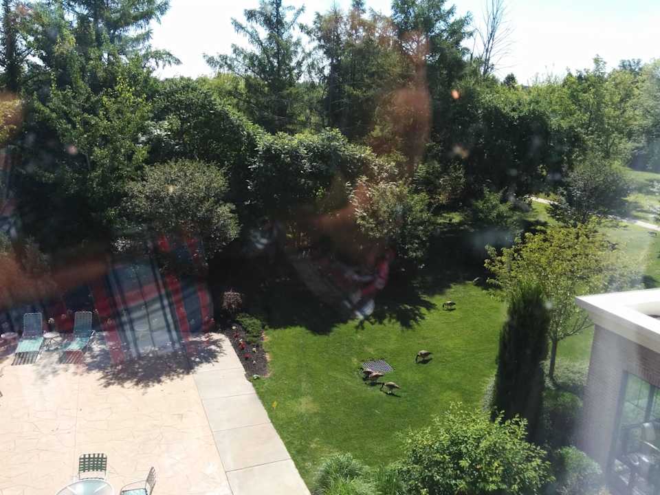 View from the room Hotel Holiday Inn Express & Suites Webster