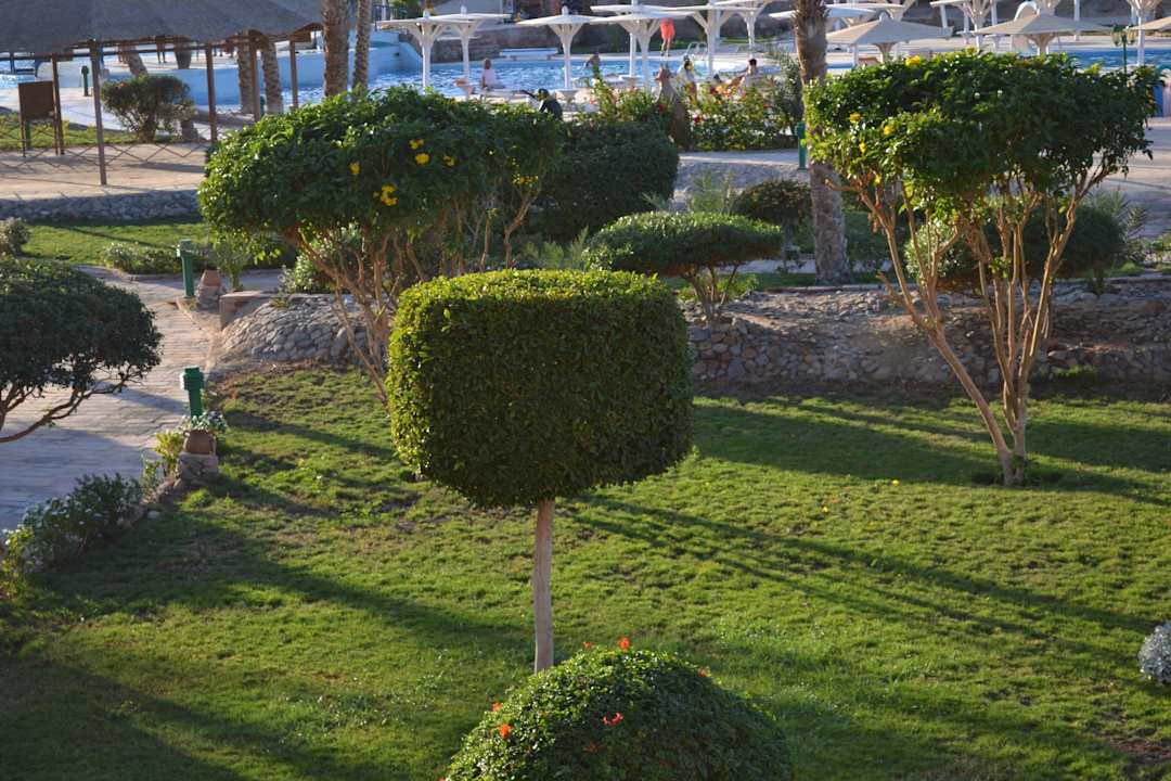 У бассейна Pensée Royal Garden Beach Resort