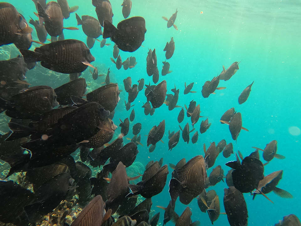 Sonstiges Utopia Beach Club