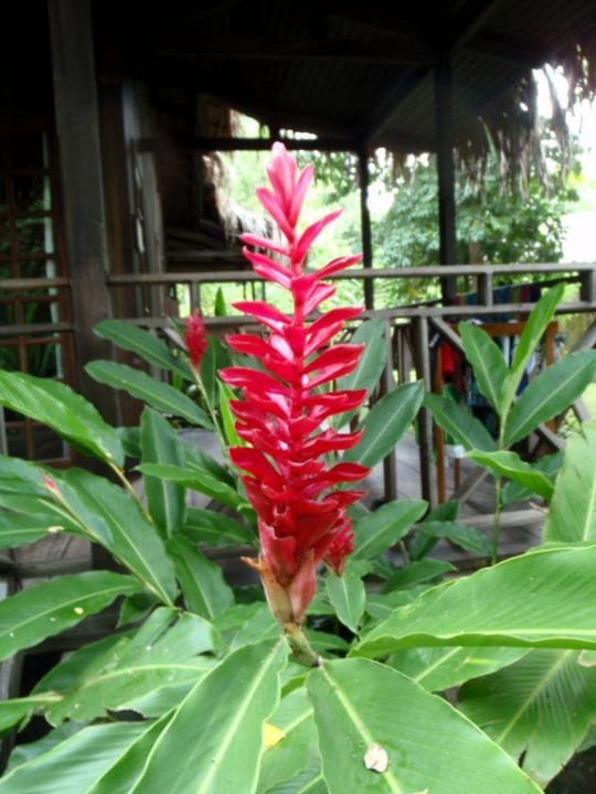 Garten Hotel Siladen Resort & Spa