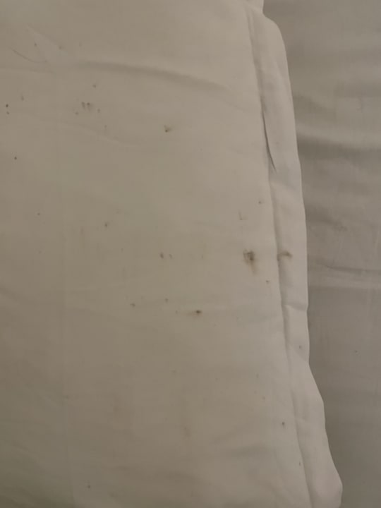 Zimmer El Mouradi Club Kantaoui