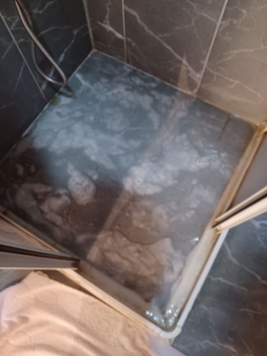 Zimmer Andros Family Club