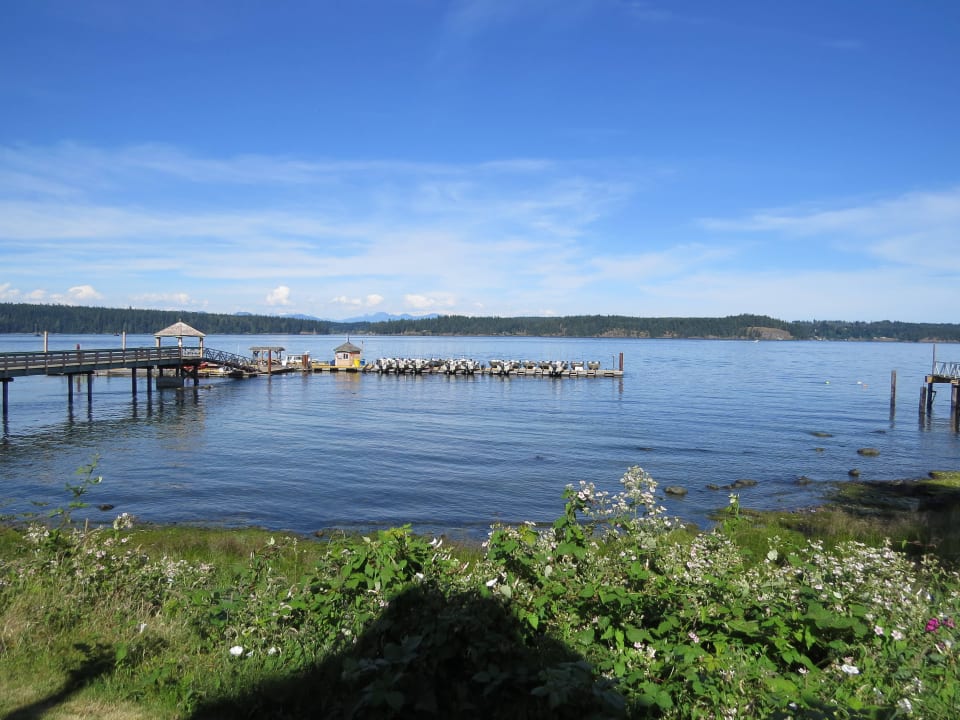 Blick von der Terrasse Hotel Painter's Lodge