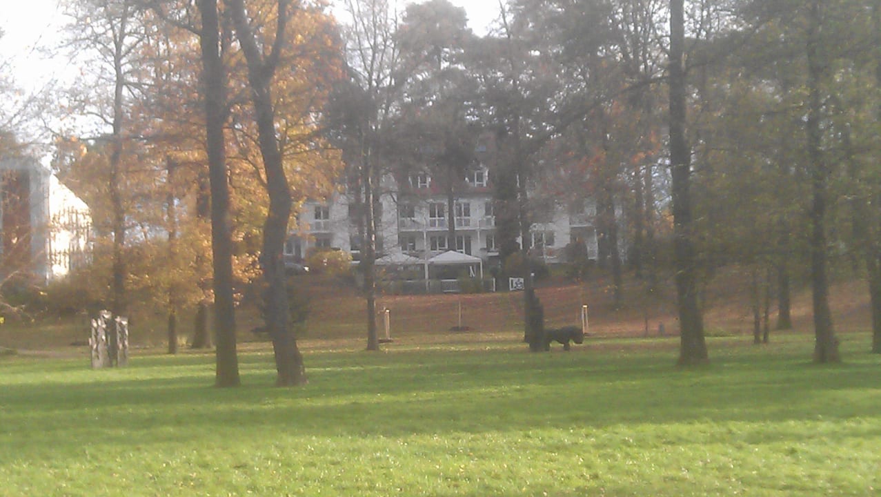 Herbstzauber im November Victoria Suites