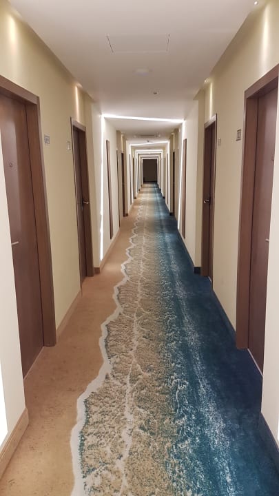 Zimmer Sentido Marea