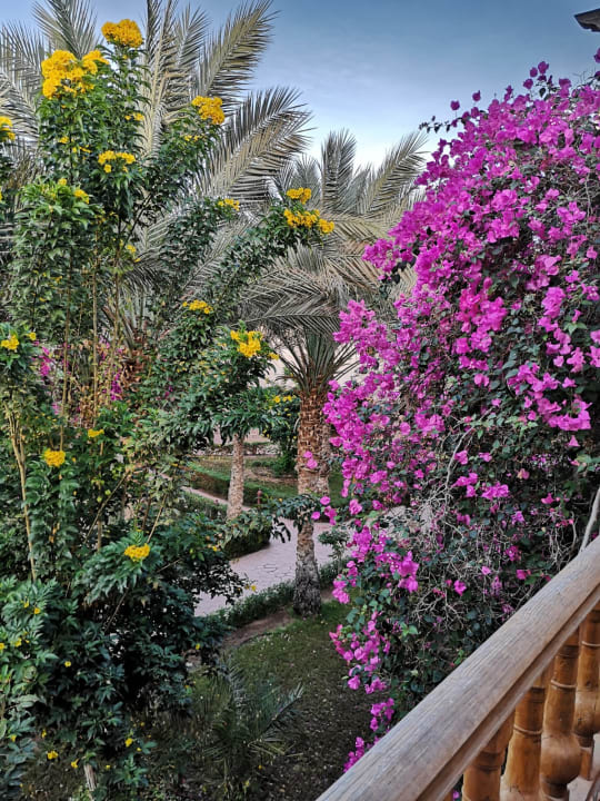 Ausblick Dream Lagoon Resort & Aqua Park