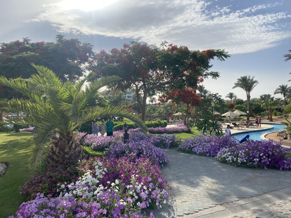 Gartenanlage Steigenberger ALDAU Beach Hotel