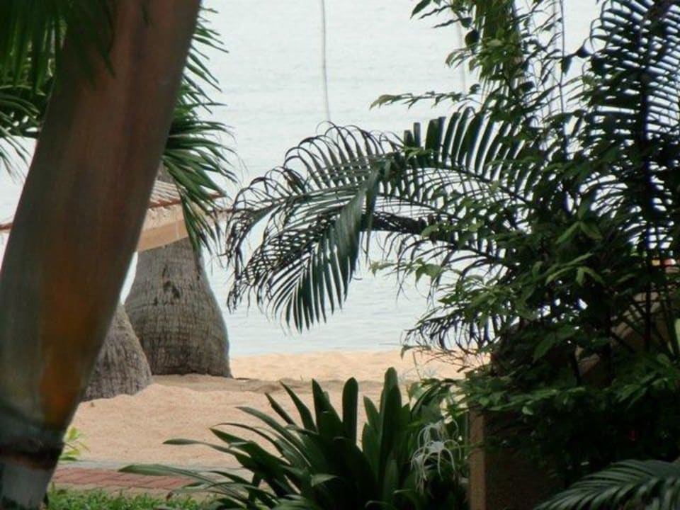Blick von der Terrasse aus Hotel Maenam Resort