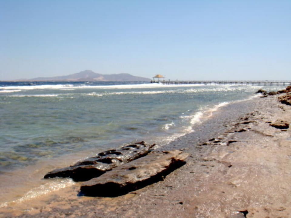 Luty 2012 Sharm Grand Plaza Resort