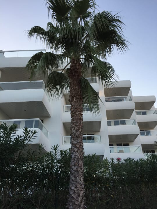 Außenansicht Hotel Tropic Garden