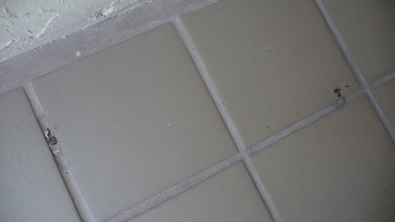 Balkon Taubenkot Hotel Ocean Key Resort & Spa