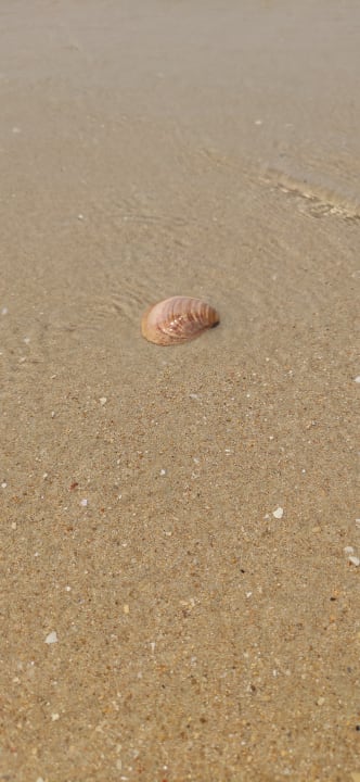 Strand Valentin Sancti Petri