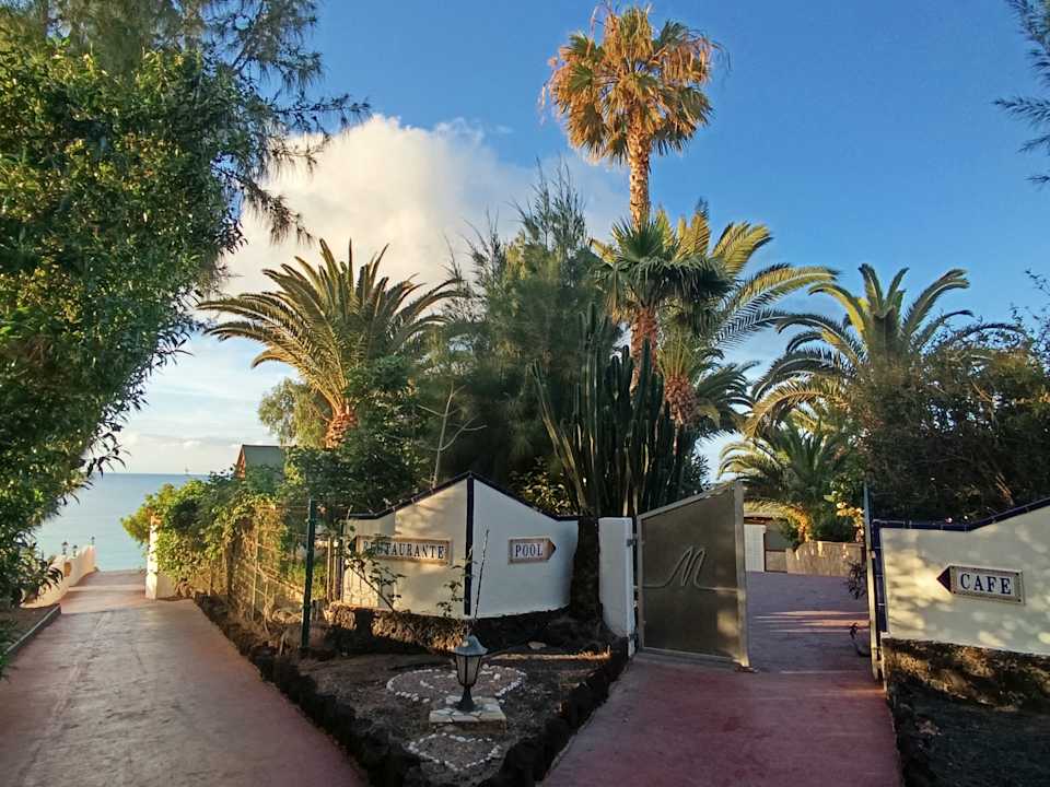 Gartenanlage Marina Playa Suite Hotel