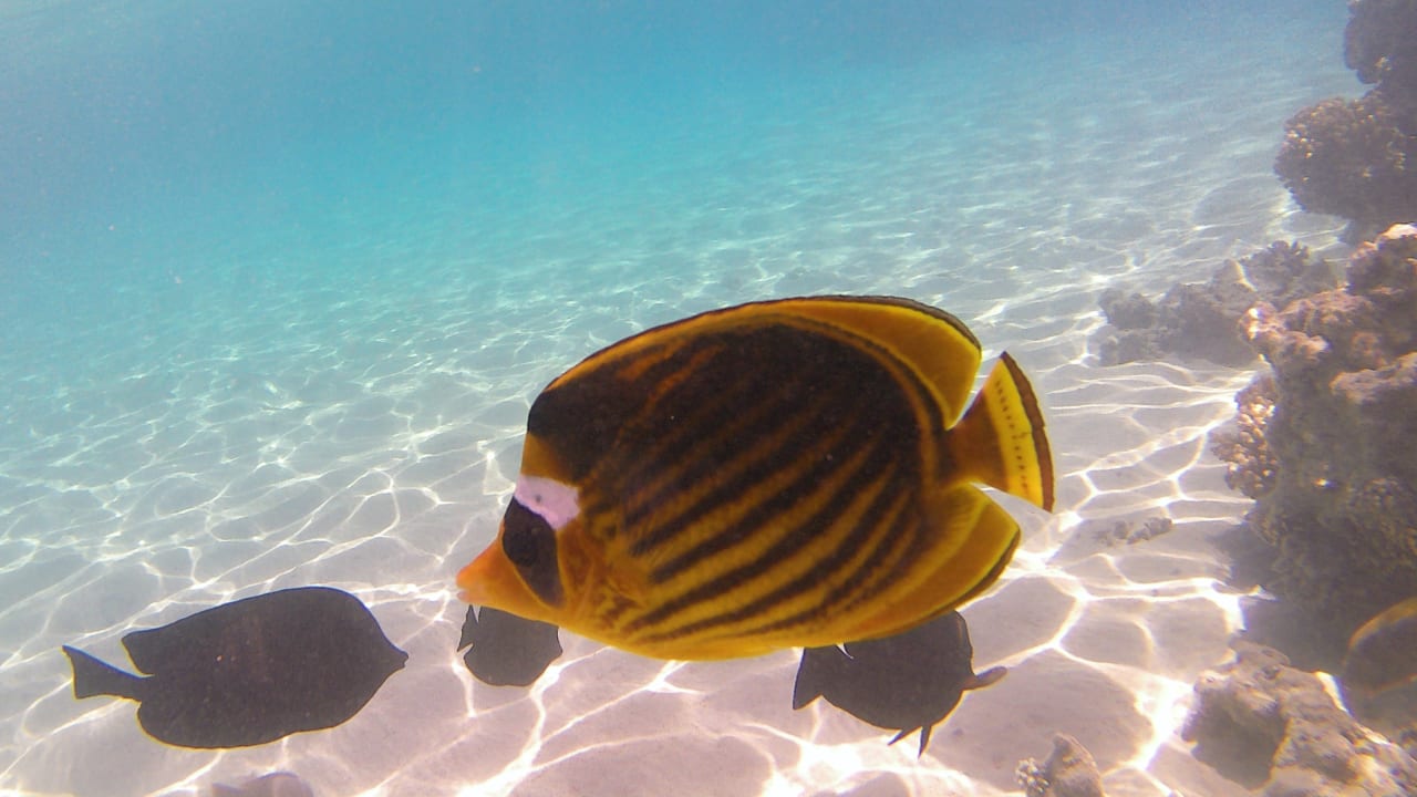 Sport & Freizeit Makadi Spa - Adults only