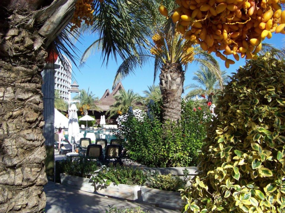 Royal Wings Royal Wings Hotel